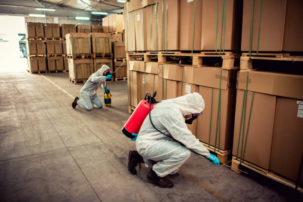 Best Residential Pest Control  in Hanceville, AL