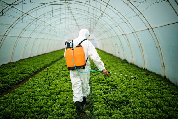 Best Pest Removal Services  in Hanceville, AL