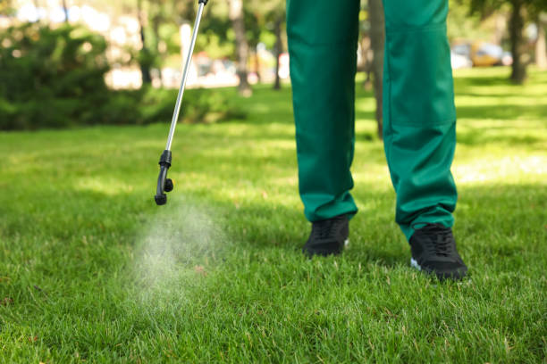 Best Ant Control Services  in Hanceville, AL