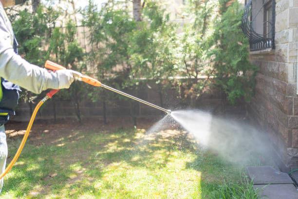 Best Pest Prevention Services  in Hanceville, AL