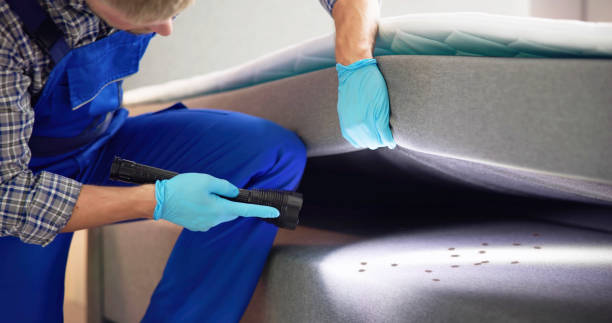 Best Best Pest Control Companies  in Hanceville, AL