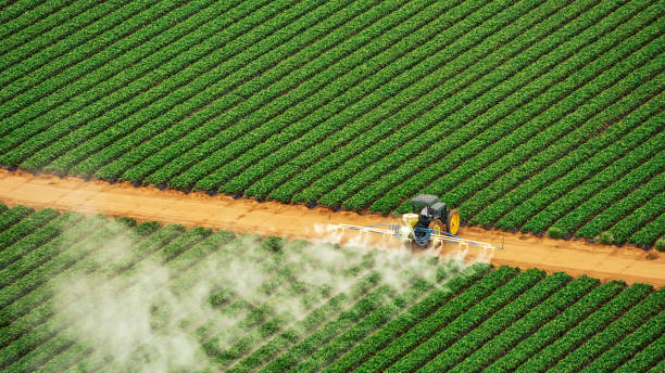 Best Wasp Removal Services  in Hanceville, AL