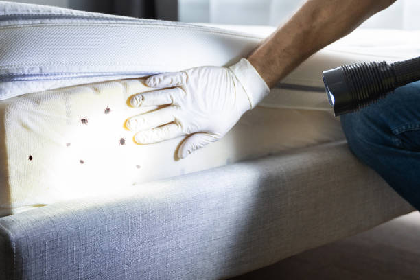 Best Affordable Pest Control Services  in Hanceville, AL